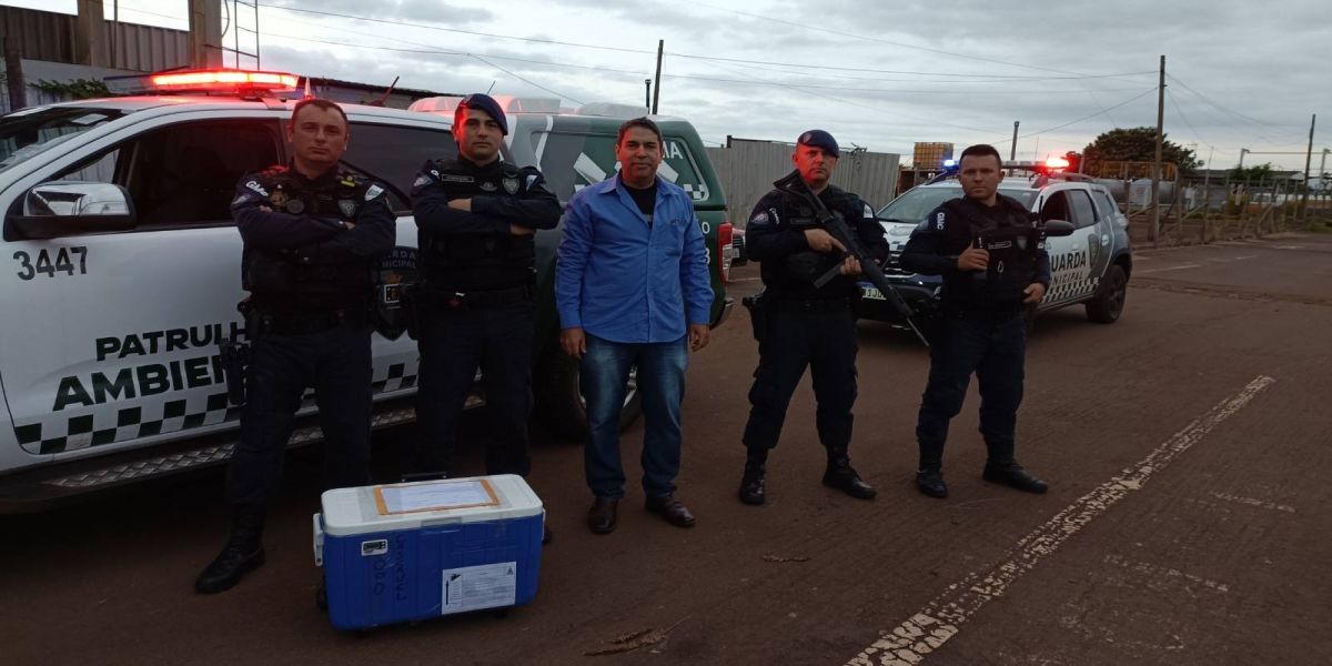 Equipe da GM de Cascavel presta apoio ao transporte de órgãos da 10° Regional de Saúde