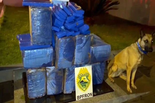 BPFRON apreende carro carregado com 276,4 kg de maconha em Toledo