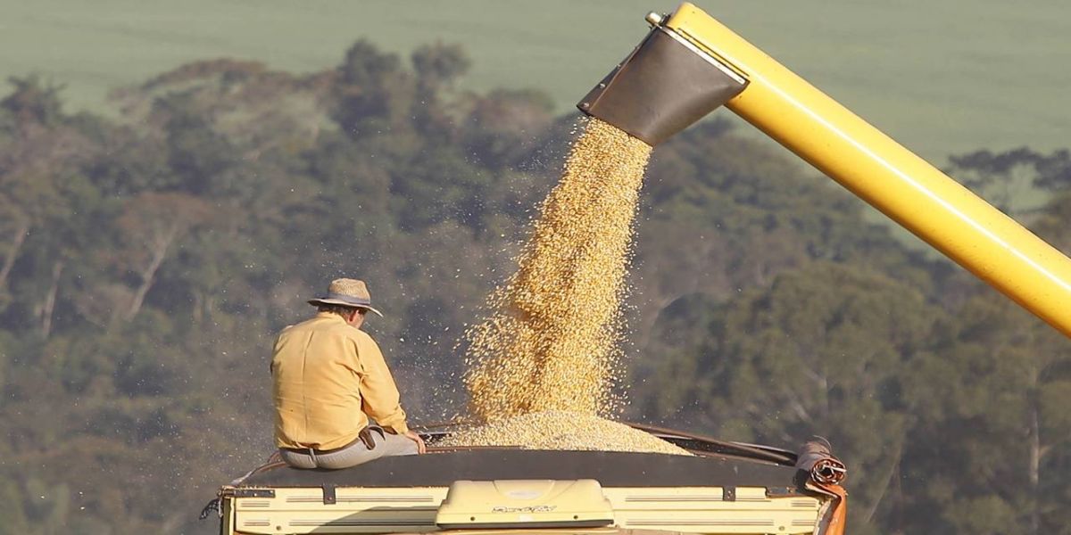 Com soja recorde, safra de grãos 2022/23 no Paraná pode chegar a 47,12 milhões de toneladas