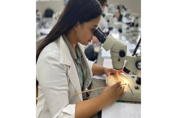 Foto relacionada a notícia: Em parceria com Ministério, Saúde promove capacitação sobre vetor da febre maculosa