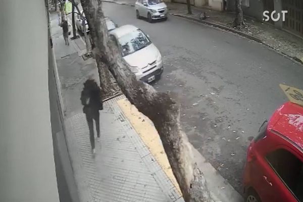 "Pensei que ia morrer” diz mulher é atingida por árvore enquanto caminhava