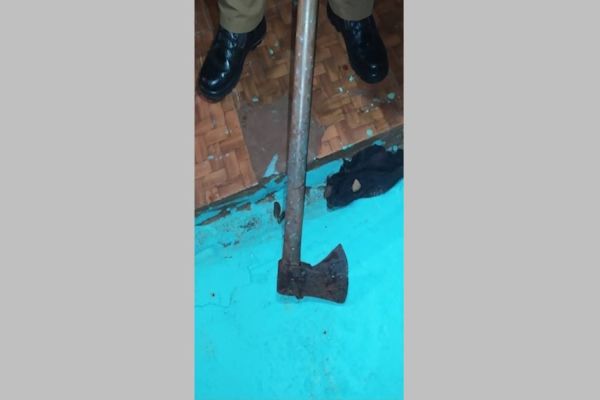 Homem de 58 anos é preso após matar cachorro a machadadas em Toledo