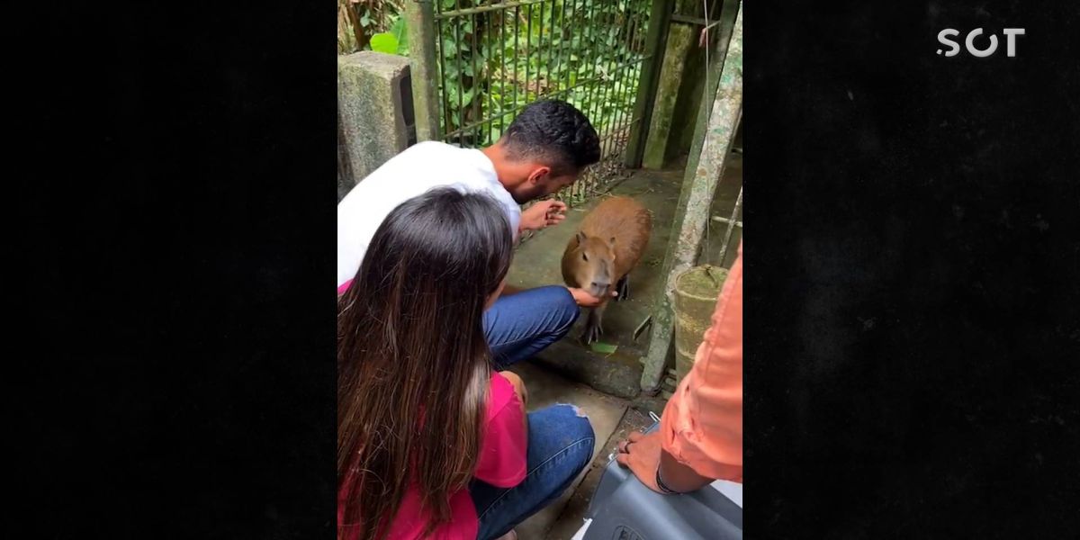 Influenciador recupera capivara Filó após ser autuado pelo Ibama
