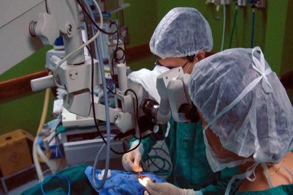 Hospitais universitários são referência em transplantes de órgãos