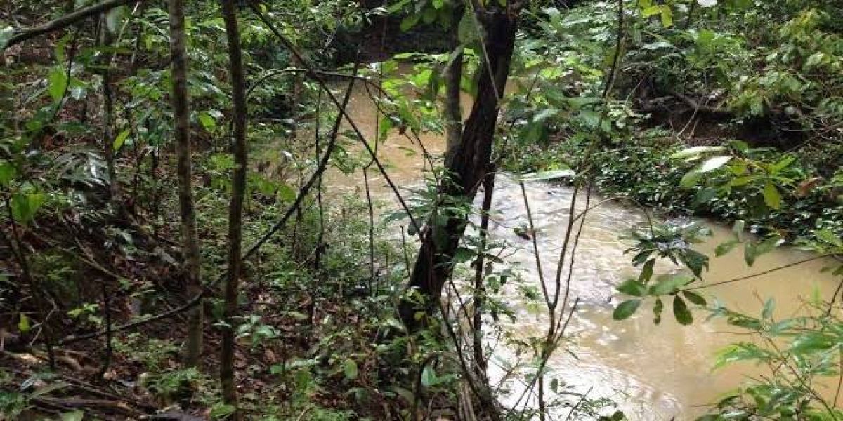 Homem de 42 anos morre afogado no Rio São Francisco no distrito de Sede Alvorada em Cascavel