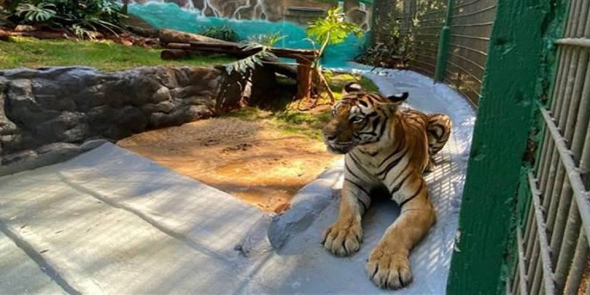 Zoológico de Cascavel volta a abrir aos fins de semana para a comunidade