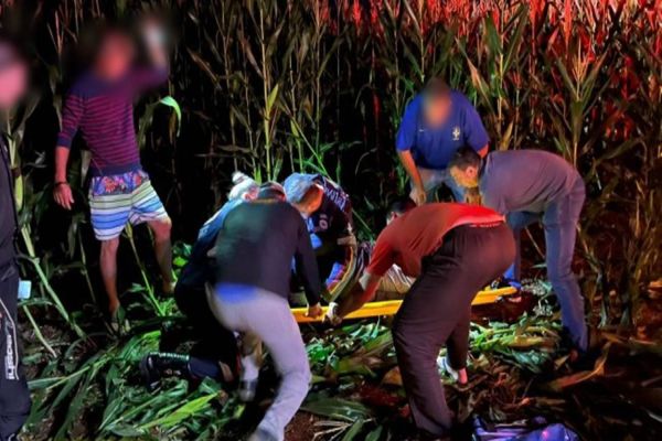Motociclista para em meio a lavoura de milho após acidente em distrito de Santa Helena