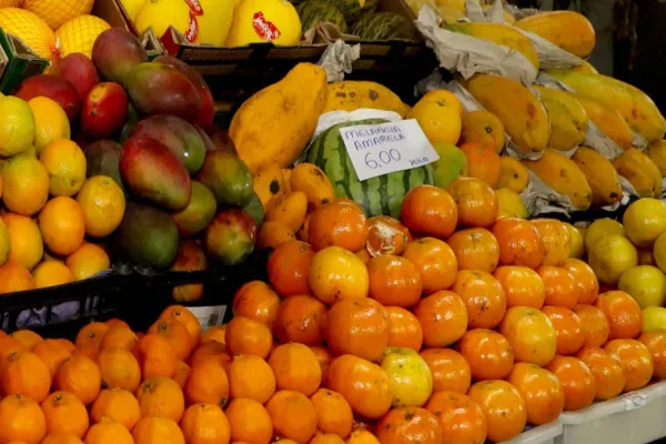 Foto relacionada a notícia: Preços de frutas da estação, como caqui e tangerina, caem quase 30%, aponta boletim do Deral