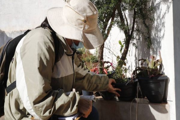 Contra Dengue: Saúde inicia 3º ciclo do LIRAa de 2023 na segunda-feira (15) em Cascavel