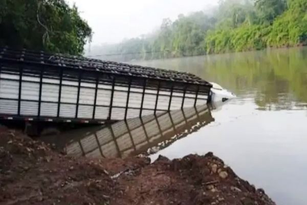 Caminhão boiadeiro carregado com bezerros cai no Rio Piquiri após rompimento de cabo da balsa
