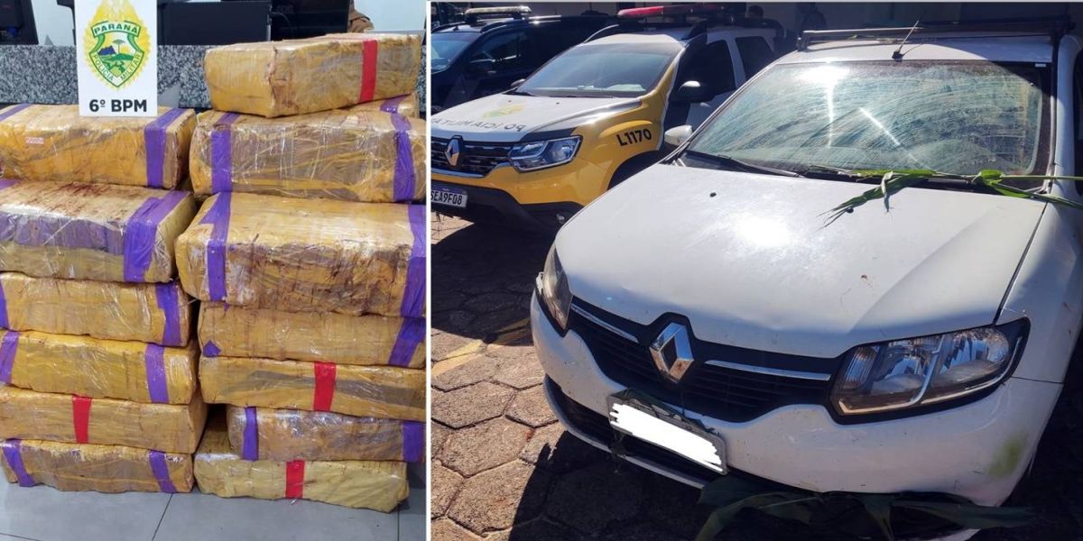 Polícia Militar apreende mais de 1 tonelada de maconha em operação na zona rural de Cascavel