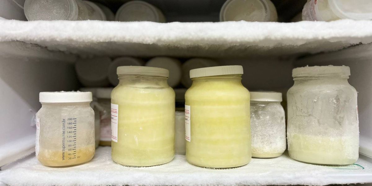 No Paraná, mais de 351 mil litros de leite humano foram coletados nos últimos anos