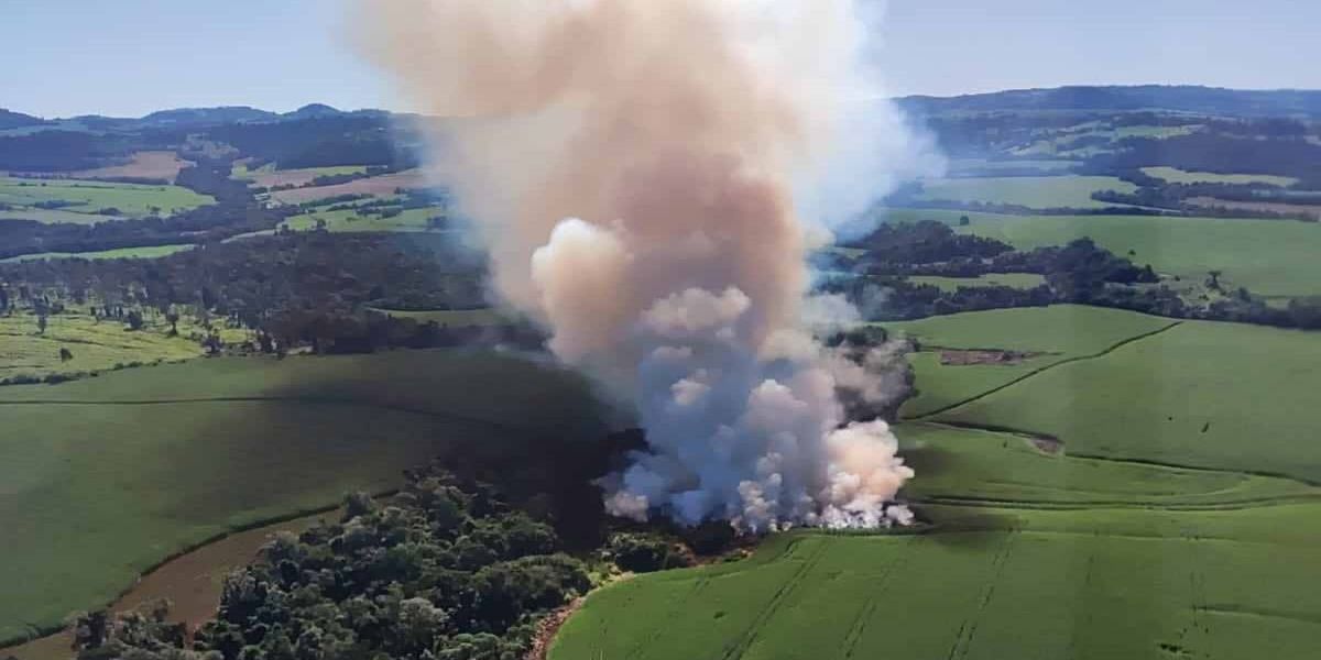 Ação do IAT em parceria com Marinha termina com três multas por desmatamento no Oeste