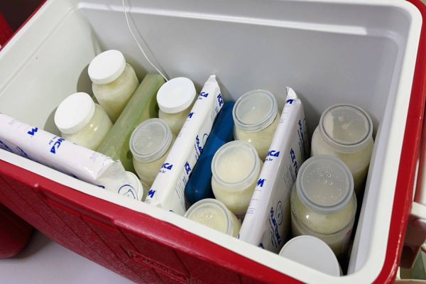 Dia Mundial de doação de leite humano: ato que salva vidas