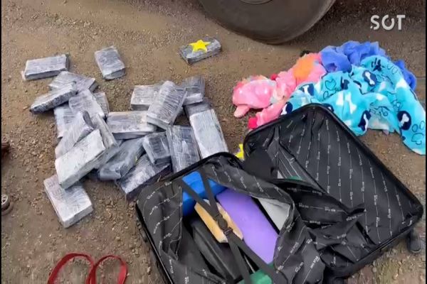 Imagem referente a notícia: Apreensão da Polícia Rodoviária Federal em Céu Azul dá prejuízo milionário ao tráfico
