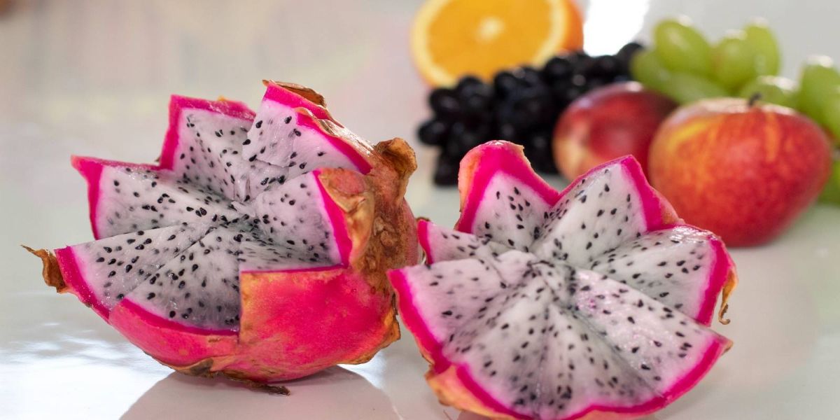 Vigilância Sanitária de Cascavel realiza capacitação gratuita para voluntários de Pentecostes