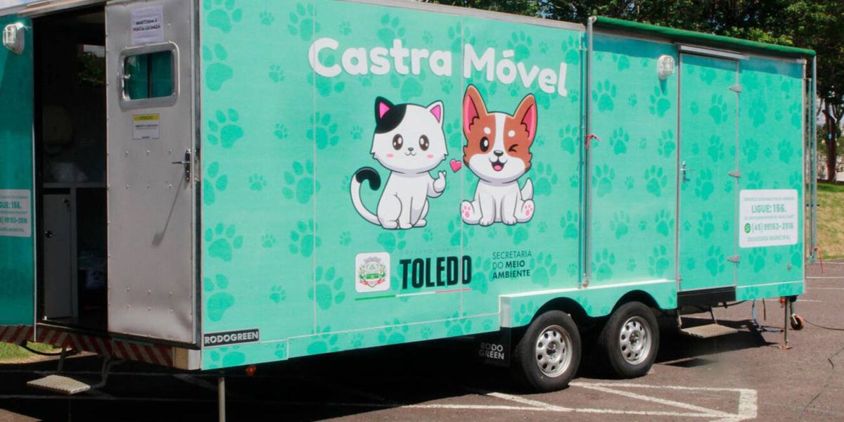 Mais de 700 animais estão microchipados em Toledo