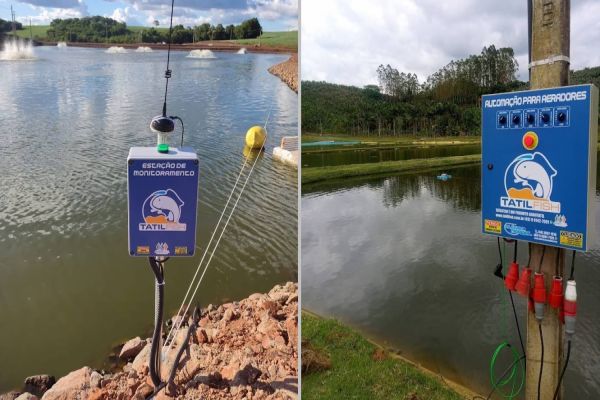 Startup do PR cria tecnologia que melhora qualidade da água em tanques de peixes