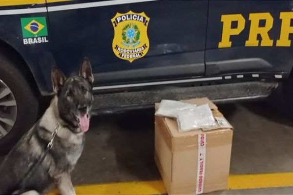 Imagem referente a notícia: Cascavelense é presa em flagrante por tráfico internacional de drogas em operação conjunta da PRF