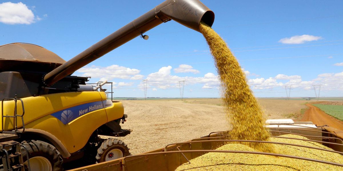 Agricultura prevê aumento de 38% na safra de grãos, estimada em 46,85 milhões de toneladas
