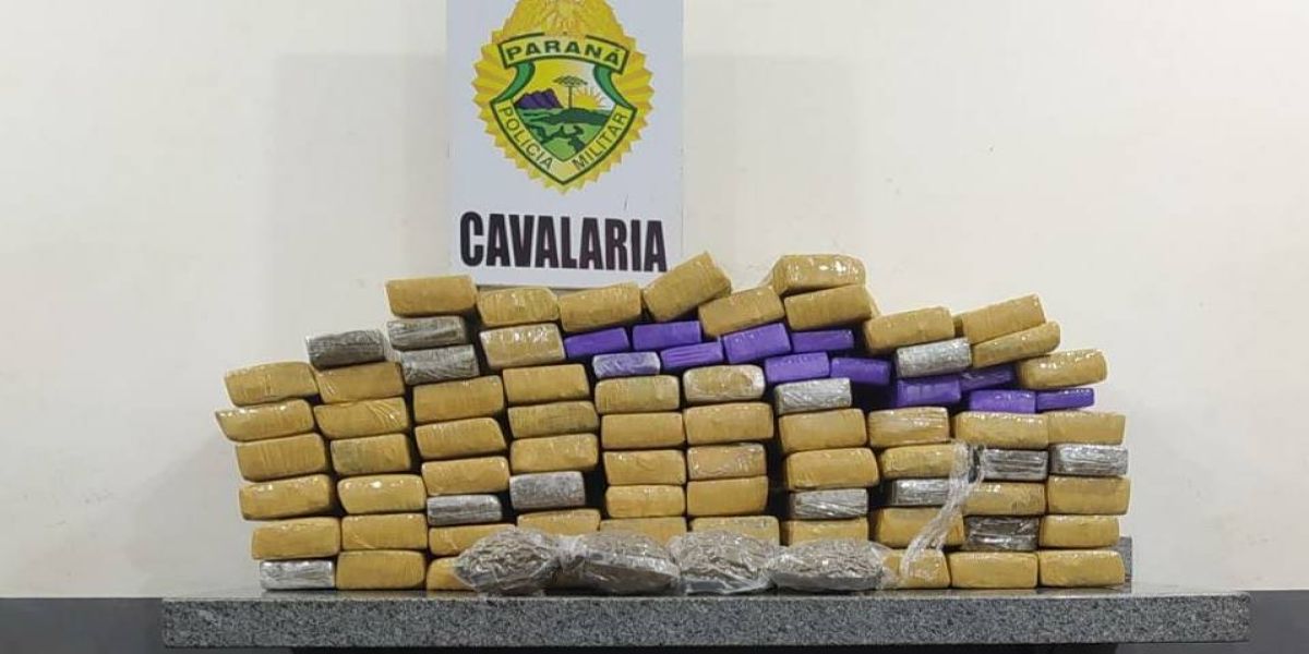 Cavalaria da PM realiza Operação Horus e apreende drogas em abordagem a ônibus na BR 277