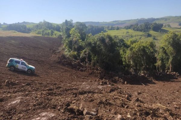 Operação Alerta MapBiomas resulta em prisão e fiscalizações ambientais na região oeste e sudoeste