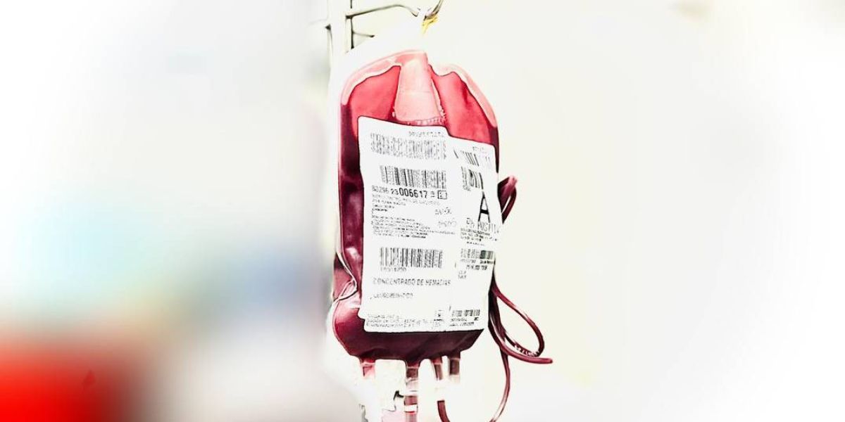 Junho vermelho e laranja: A importância da doação de sangue e o combate a anemia e leucemia