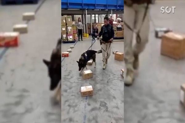 Imagem referente a notícia: PRF apreende drogas e medicamentos em encomendas nos Correios; As encomendas eram da fronteira