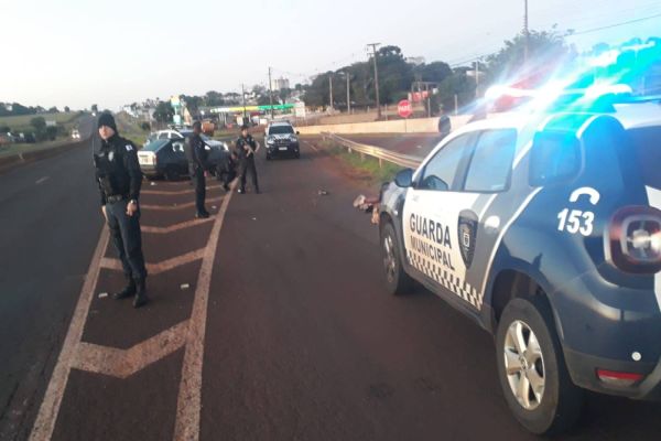 Guarda Municipal realiza acompanhamento e apreende drogas e simulacro de arma em abordagem na BR369