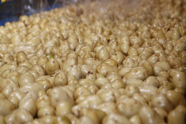 Índice do Ipardes confirma desaceleração da inflação no Paraná em maio