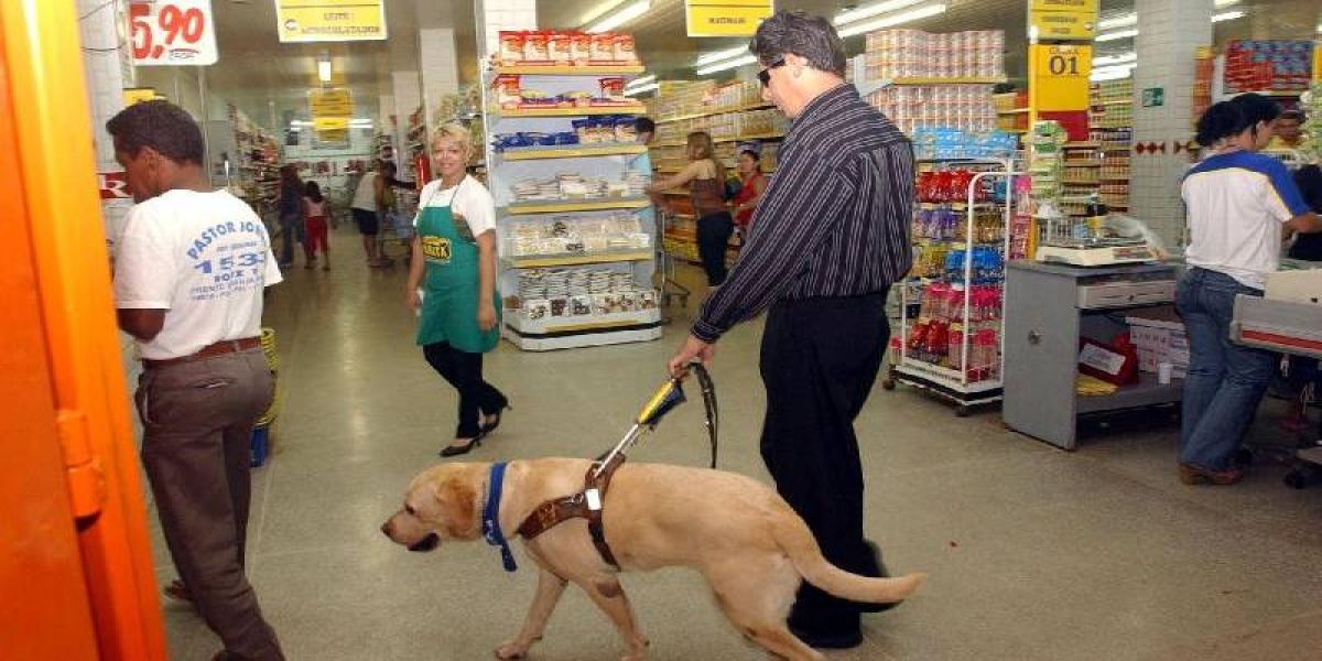 Câmara apoia ampliação da Lei do Cão-Guia para permitir assistência a outras deficiências