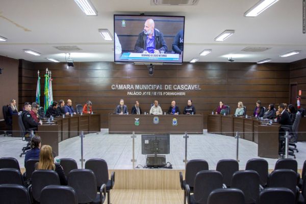 Reunião pública na Câmara debate problemas de segurança nas casas noturnas