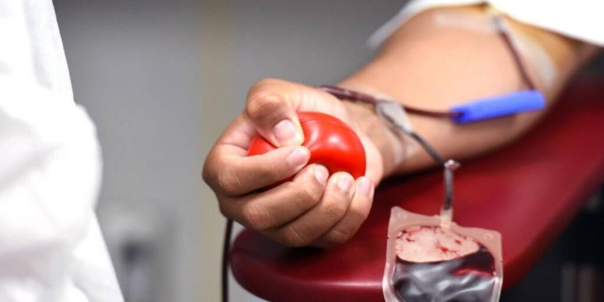 Junho Vermelho: apenas 1,89% da população paranaense é doadora de sangue