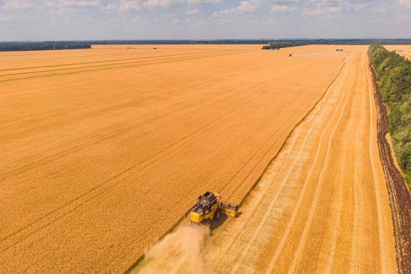 Sicoob Credicapital se prepara para atender produtores rurais no Plano Safra 23/24