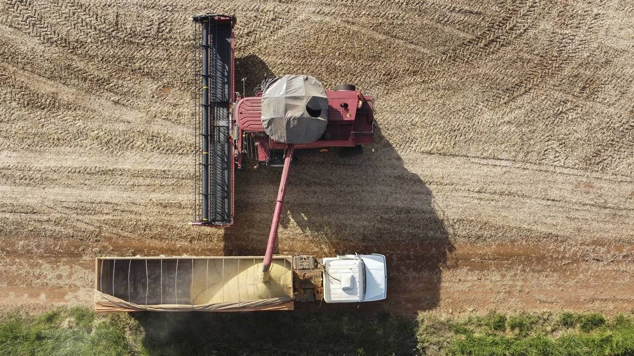 Foto relacionada a notícia: Com baixa cotação, comercialização da safra recorde de soja ainda está lenta no Paraná