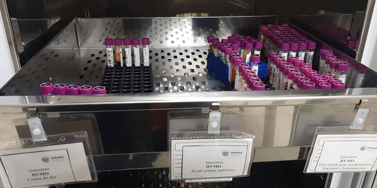 De julho a dezembro, cadastro de medula óssea no Paraná originou seis transplantes bem-sucedidos