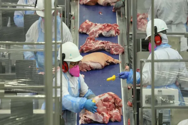 Foto relacionada a notícia: Exportações impactam preços das proteínas animais no mercado interno, mostra boletim do Deral