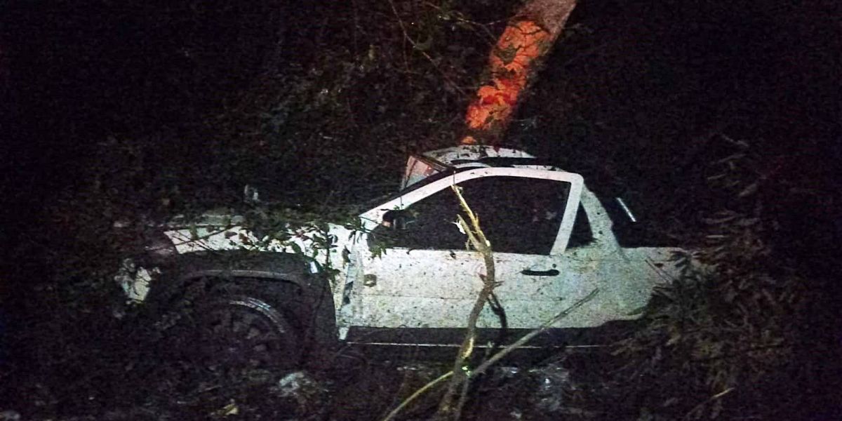 Homem de 29 anos morre após carro colidir contra árvore na PR-484 em Catanduvas