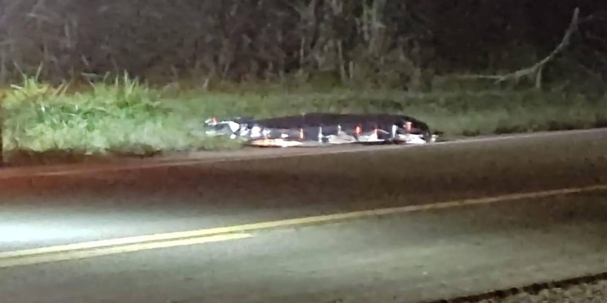 Idoso de 80 anos morre em trágico atropelamento na PR-182, em Realeza