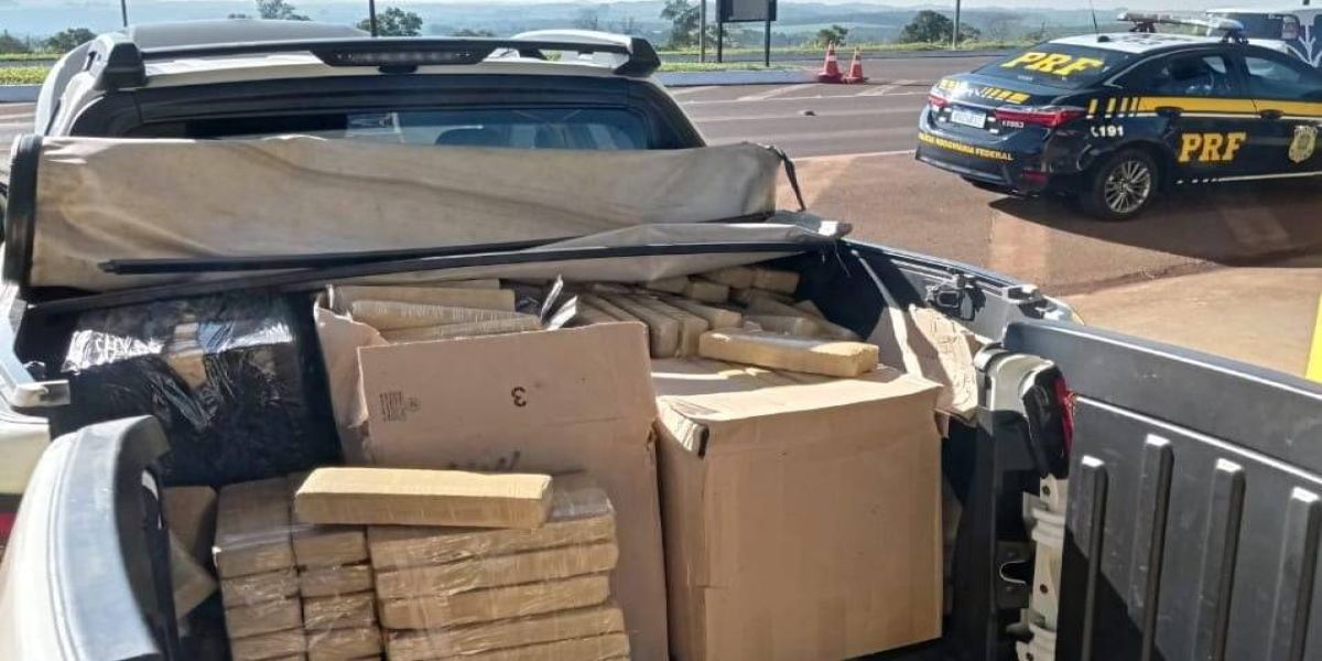 Polícia Rodoviária Federal apreende quase meia tonelada de maconha na BR-277 em Catanduvas