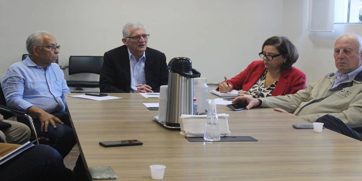 Governo do Paraná, setor privado e entidades do agro trabalham para conter casos de gripe aviária