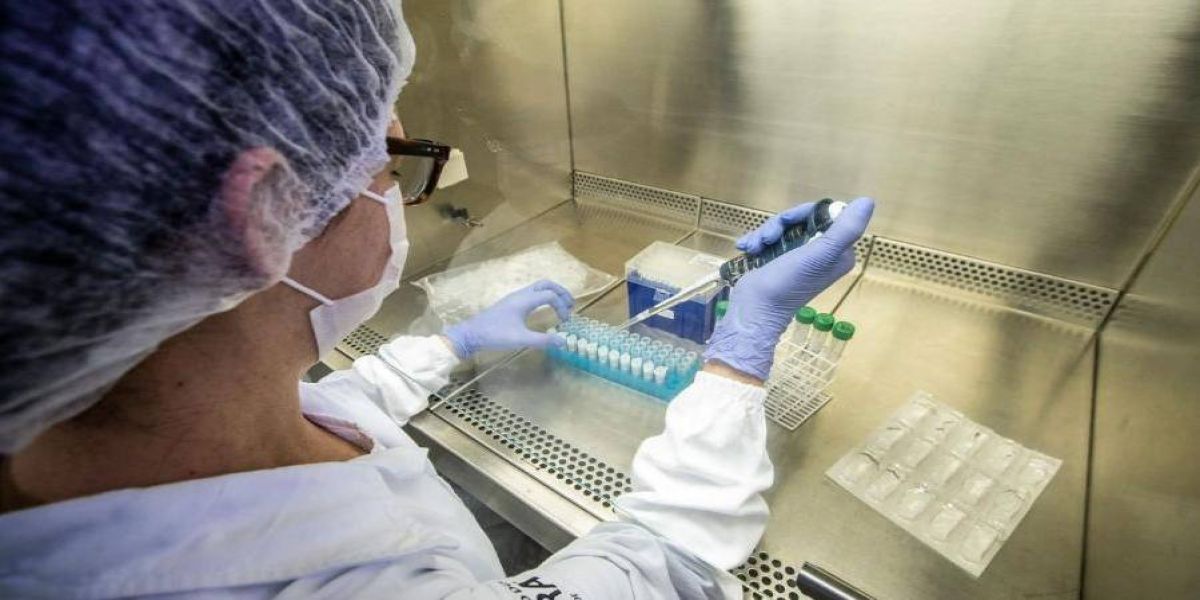 Óbito por vírus influenza AH1v suína em Toledo é descartado, aponta Ministério da Saúde