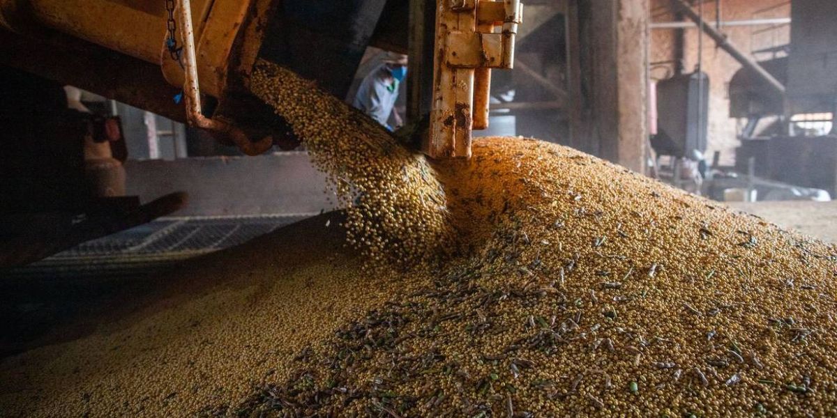 Ipea revisa crescimento do PIB agro para 2023 de 11,6% para 13,2%