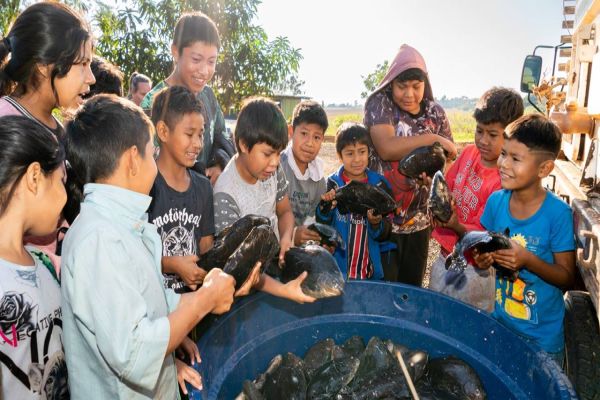 Itaipu inicia doação de peixes para comunidades indígenas do Oeste do Paraná