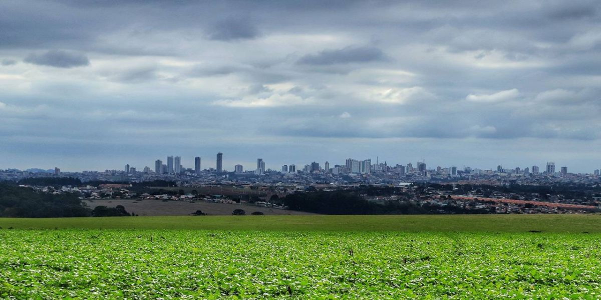 Com expansão de 37%, safra de grãos 22/23 deve chegar a 46,6 milhões de toneladas no Paraná