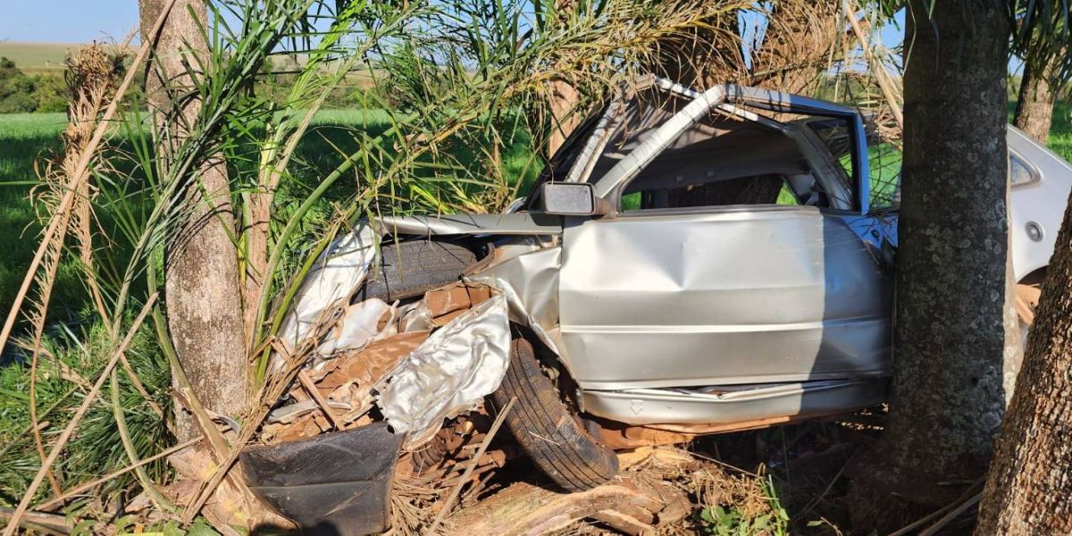 Idoso fica ferido após colidir contra árvores em acidente na PR-239