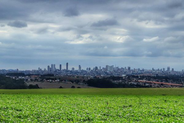 Com expansão de 37%, safra de grãos 22/23 deve chegar a 46,6 milhões de toneladas no Paraná