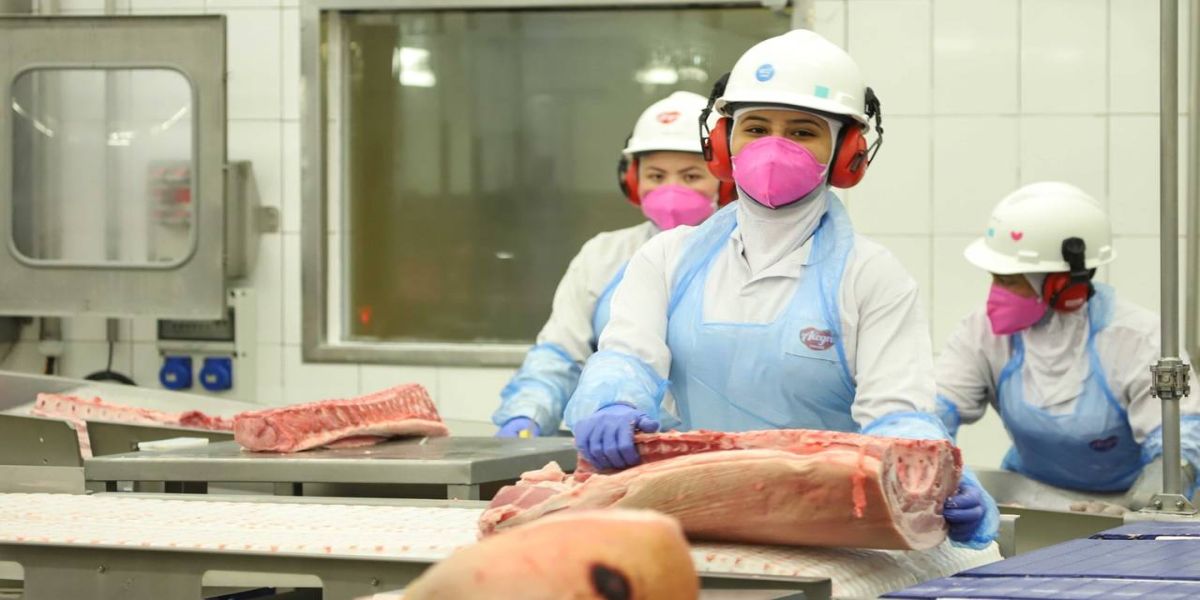 Paraná liderou empregabilidade de mulheres de janeiro a maio na região Sul, aponta o Caged