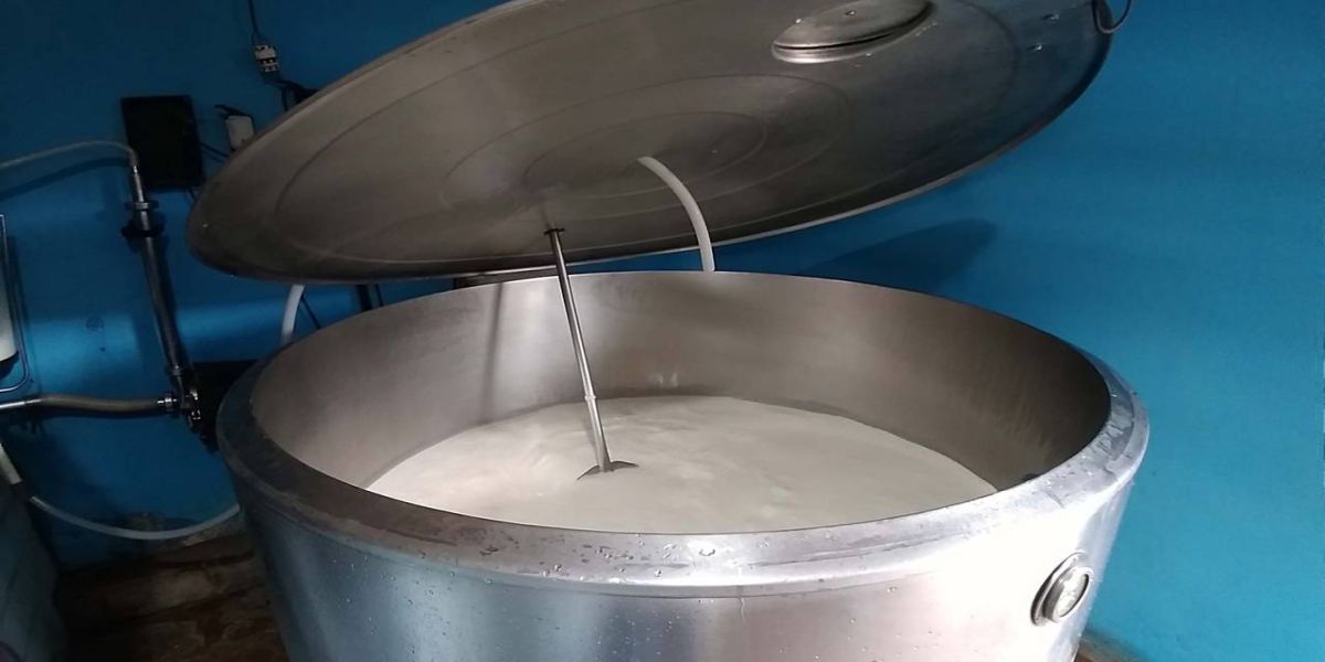 Com novas usinas habilitadas, programa de distribuição de leite chega a mais produtores