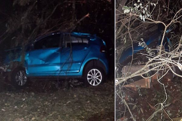 Condutora embriagada sai da pista e colide contra árvore na PR-180 em Cascavel